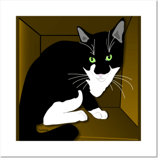 Cute Tuxedo Cat Cat in a box Copyright TeAnne Posters and Art